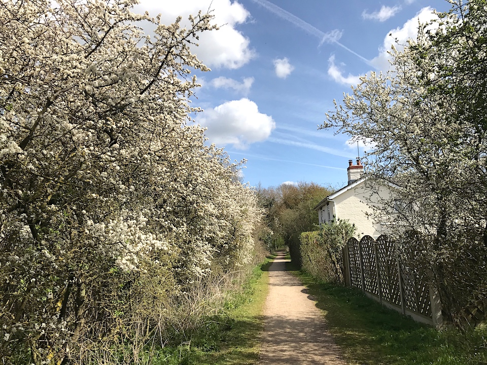 UK Walks Viking Way Horncastle to Woodhall Spa Sculpture trail